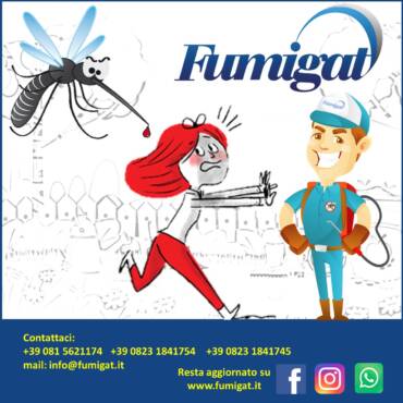 Rischi sanitari con il Giubileo 2025, come la trasmissione di Dengue