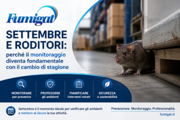 Settembre e roditori: perché il monitoraggio diventa fondamentale con il cambio di stagione