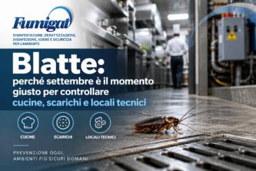 Blatte: perché settembre è il momento giusto per controllare cucine, scarichi e locali tecnici