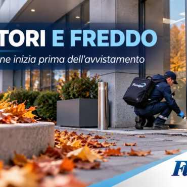 Topi e ratti con l’arrivo del freddo: come proteggere aziende e condomini