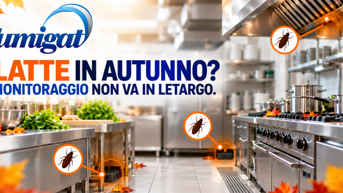 Blatte in autunno: perché il problema non finisce con l’estate