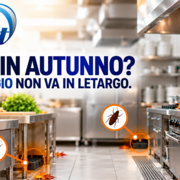 Blatte in autunno: perché il problema non finisce con l’estate